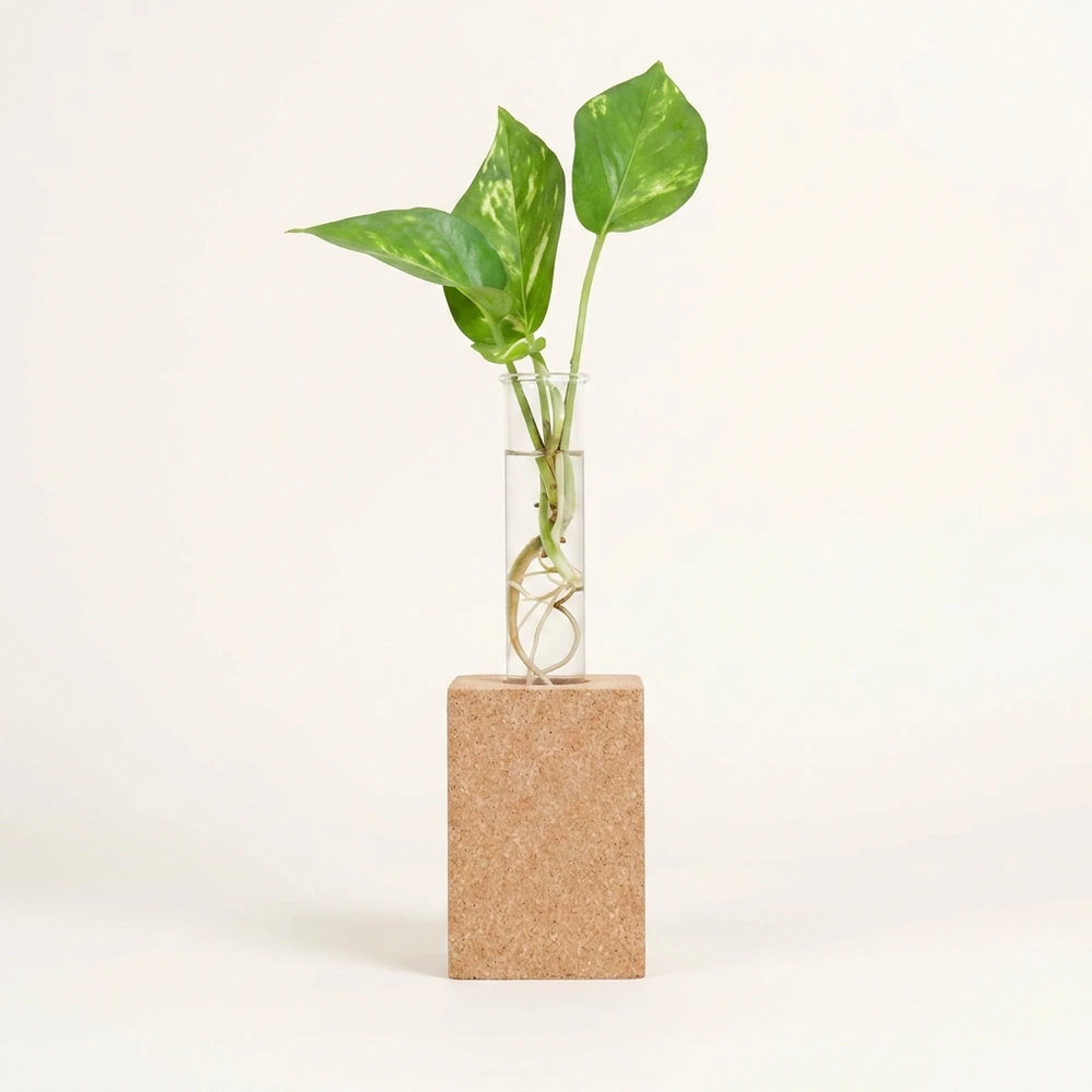 Cork magnet planters