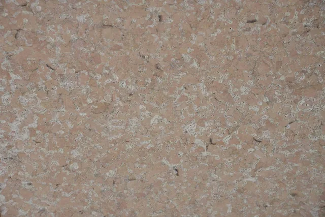 Champagne Blush cork wall panel swatch
